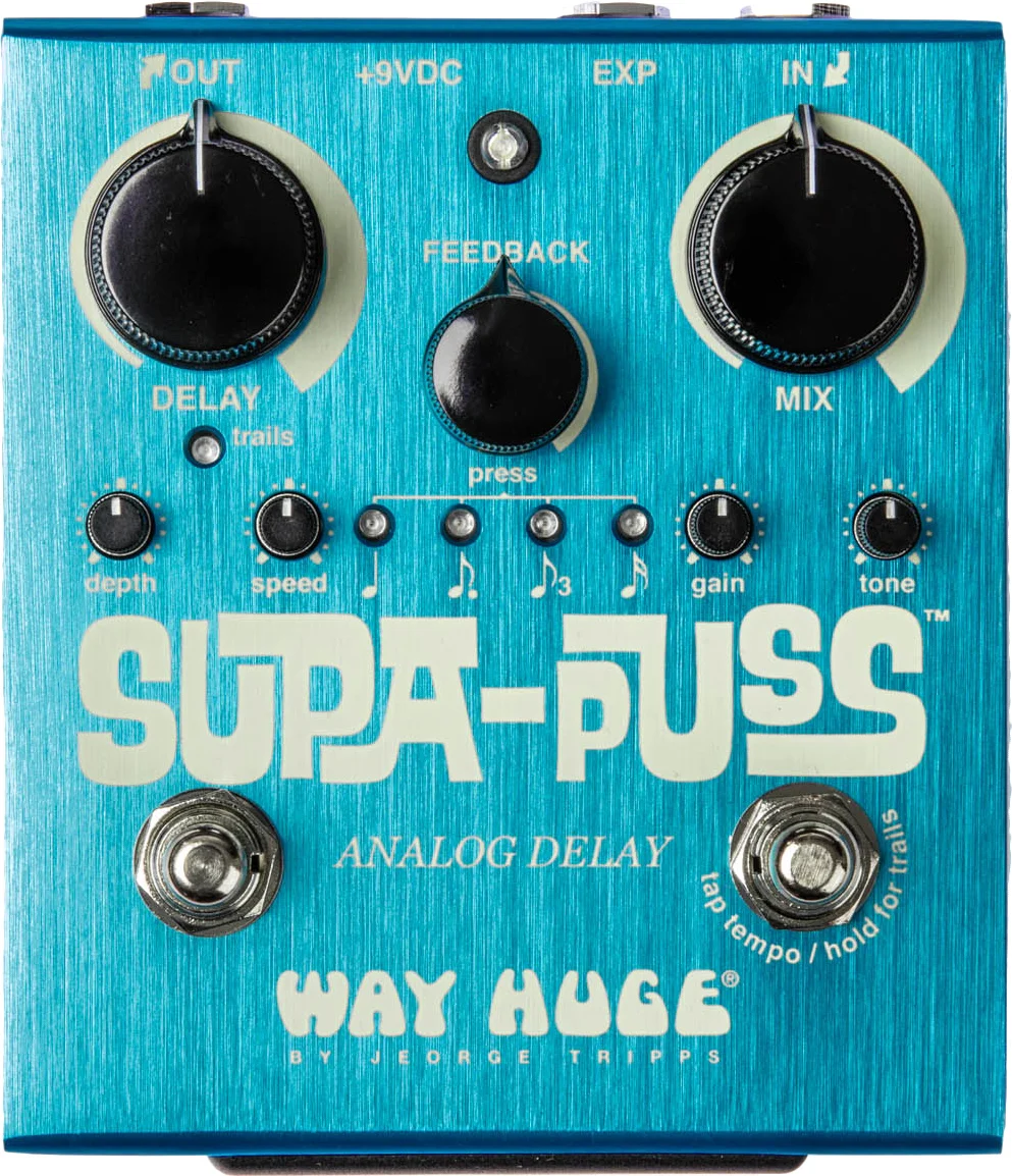 Way Huge Supa-Puss Analog Delay