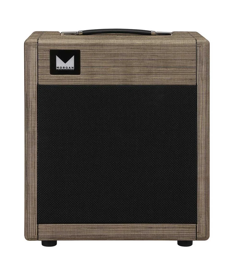 Morgan Amplification PR12 Combo Valve Amp Driftwood
