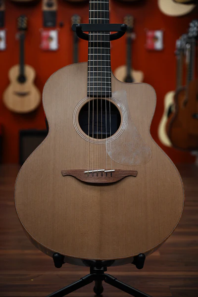 Lowden F-25C