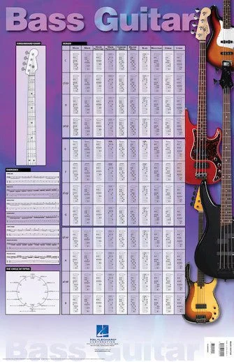 BASS GUITAR POSTER 23″ x 35″ Poster