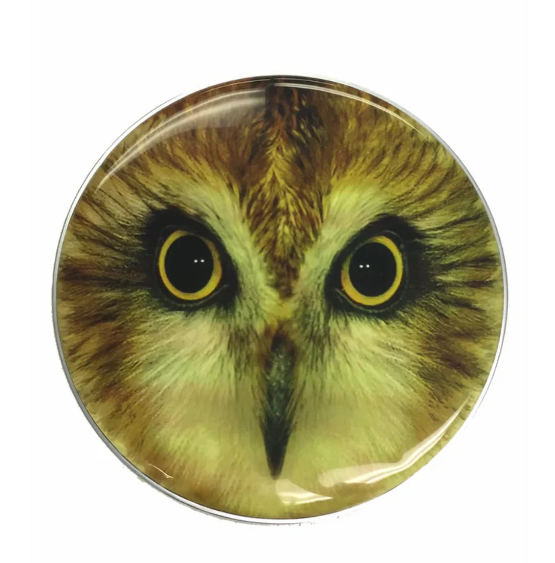 Custom Hooting Owl Drum Head DPH22K-OWL