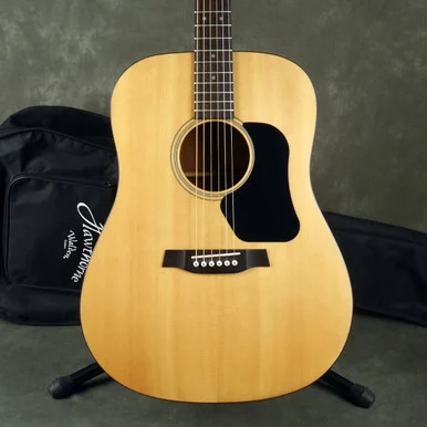 Walden HD220 Acoustic - Natural w/Gig Bag - 2nd Hand
