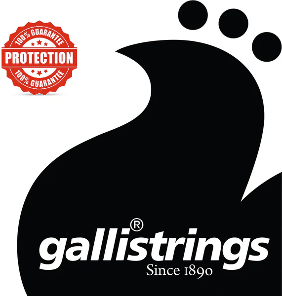 Galli G1240 N Irish Tenor Banjo, Heavy.