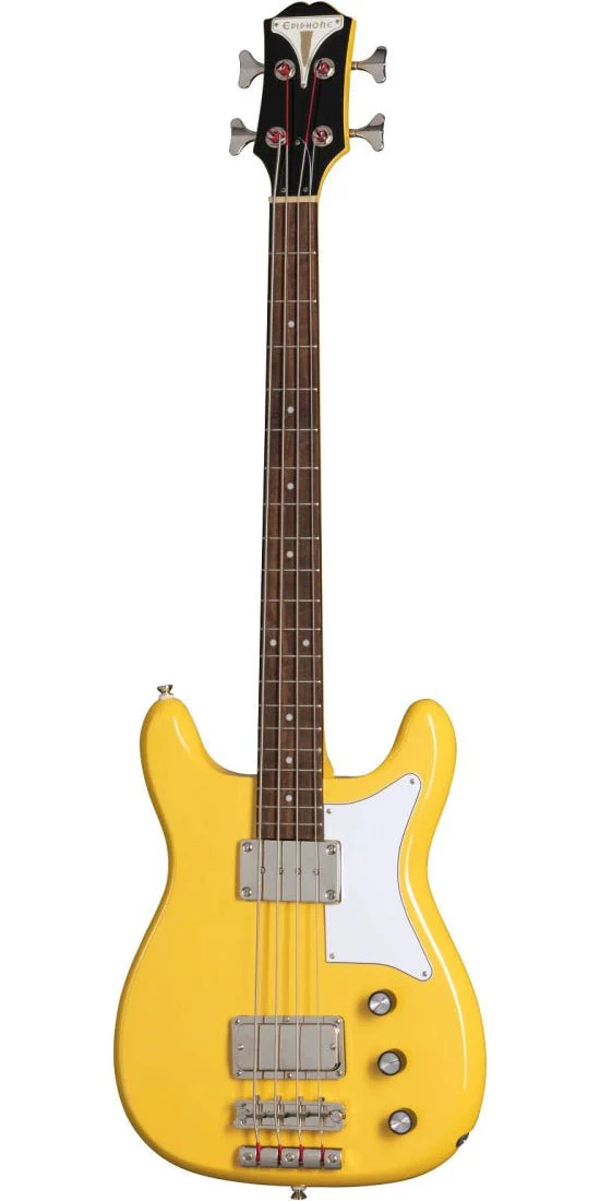 Epiphone Newport Bass Guitar - EONB4