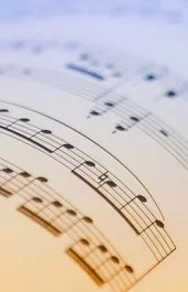 TERRY HARDLESS PRELIMINARY Rudiment By Terry Hardless